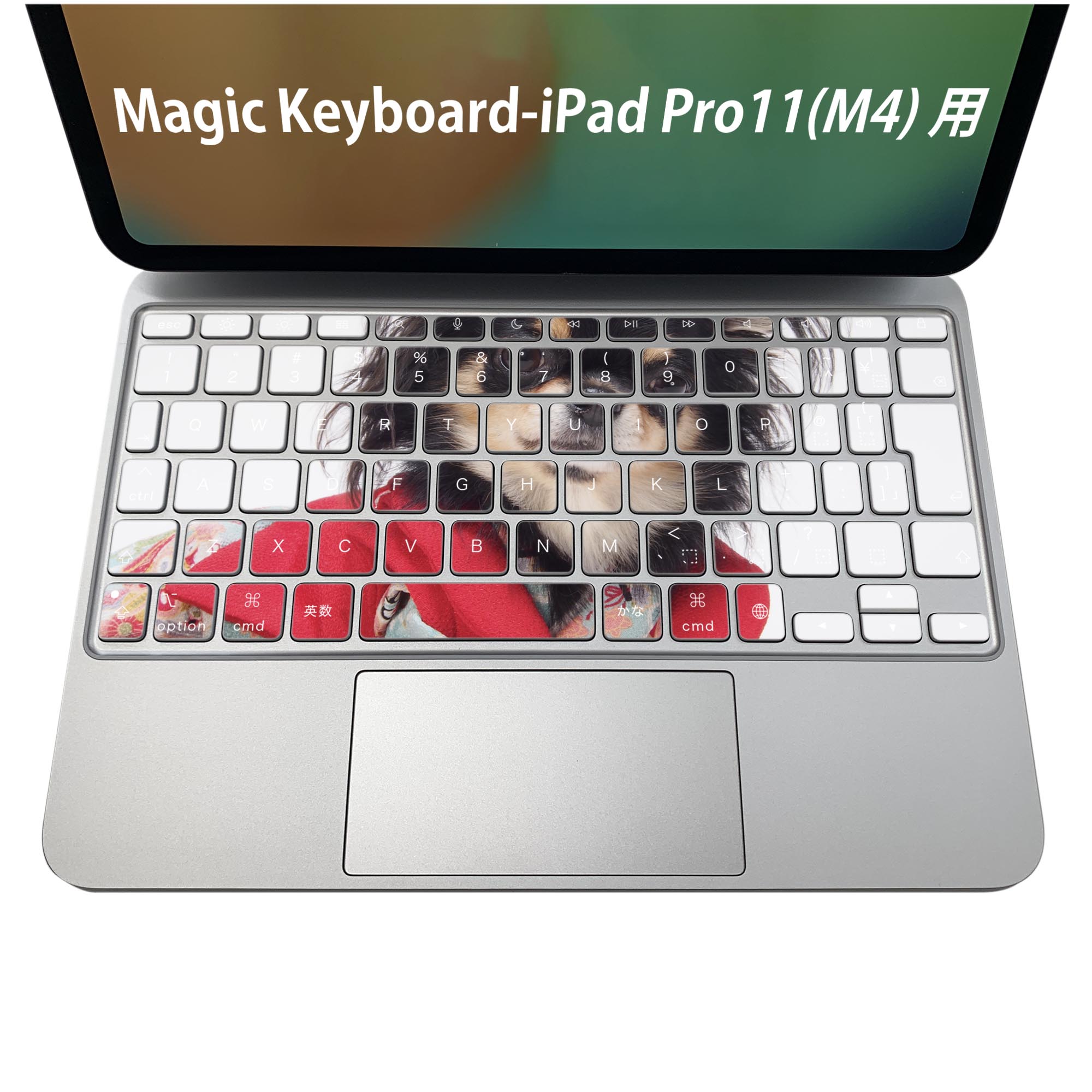 Magic Keyboard 専用 iPadPro11inch 13inch(M4) 2024 第5世代 対応 キーボード用スキンシール キートップ ステッカー アイパッド ノートパソコン アクセサリー 保護 020806 マスクデザイン 宇宙 惑星 犬 チワワ 写真 005221