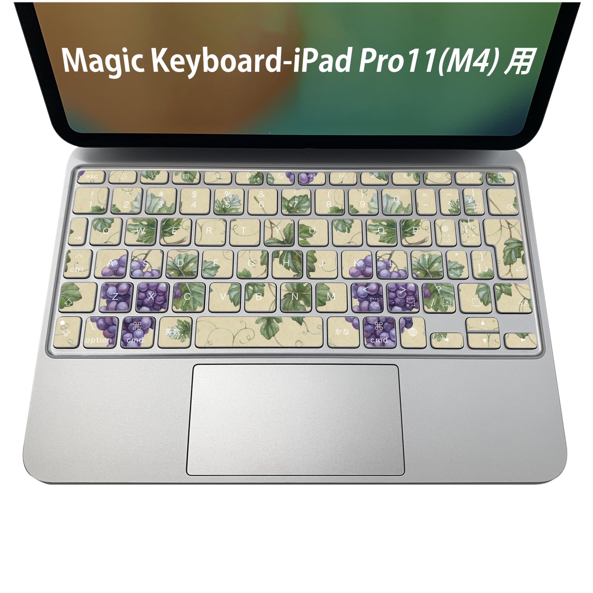 Magic Keyboard 専用 iPadPro11inch 13inch(M4) 2024 第5世代 対応 キーボード用スキンシール キートップ ステッカー アイパッド ノートパソコン アクセサリー 保護 020806 マスクデザイン 宇宙 惑星 ブドウ 葡萄 模様 005731