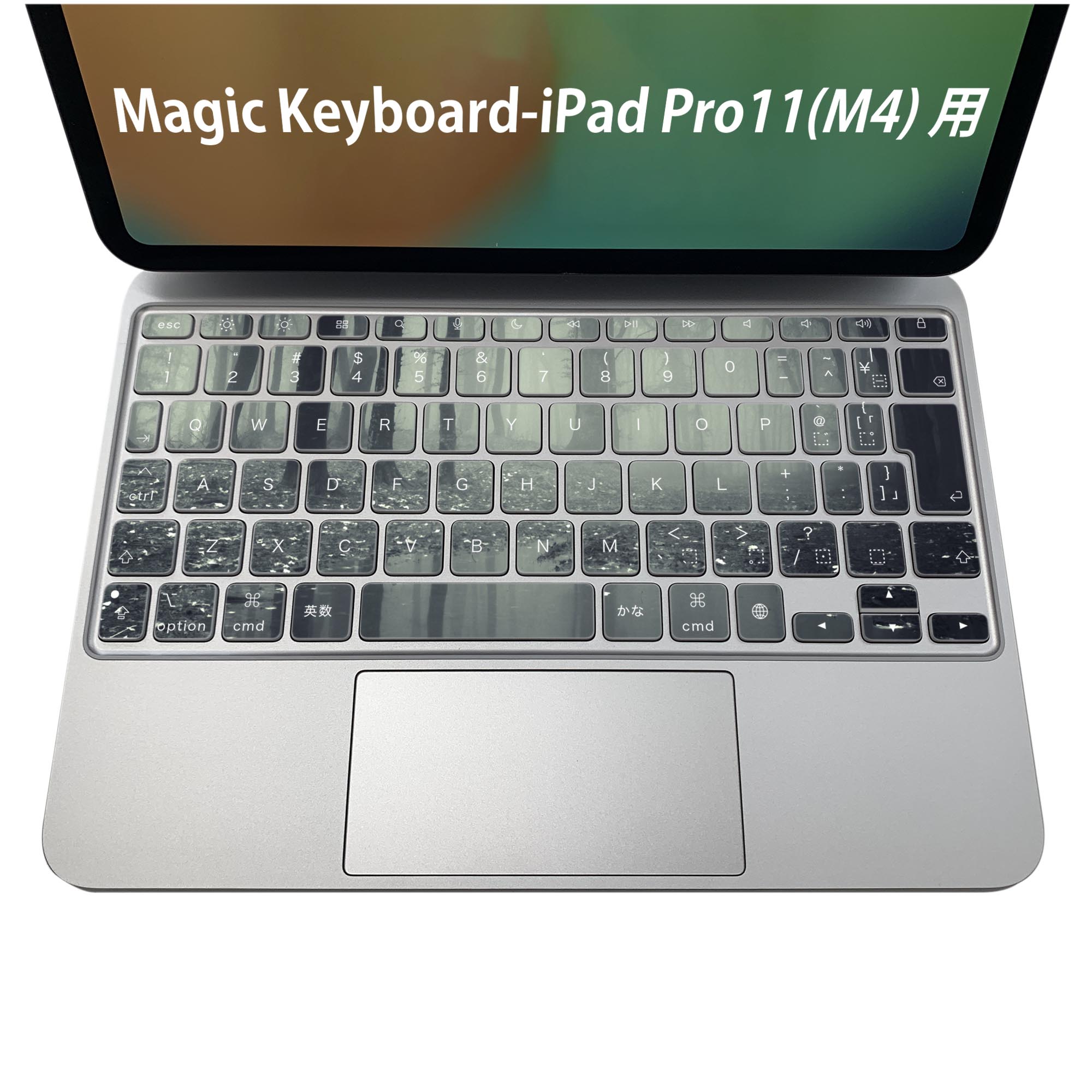 Magic Keyboard 専用 iPadPro11inch 13inch(M4) 2024 第5世代 対応 キーボード用スキンシール キートップ ステッカー アイパッド ノートパソコン アクセサリー 保護 020806 マスクデザイン 宇宙 惑星 写真 森 林 005900
