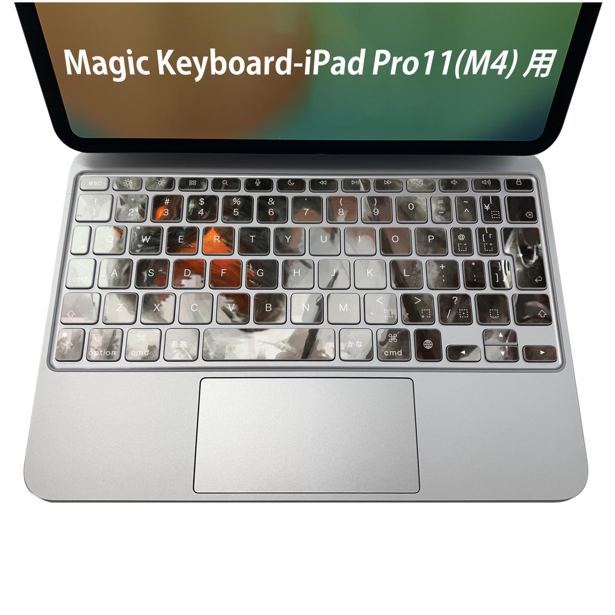 Magic Keyboard 専用 iPadPro11inch 13inch(M4) 2024 第5世代 対応 キーボード用スキンシール キートップ ステッカー アイパッド ノートパソコン アクセサリー 保護 020806 マスクデザイン 宇宙 惑星 イラスト　ドラゴン　ファンタジー　005902