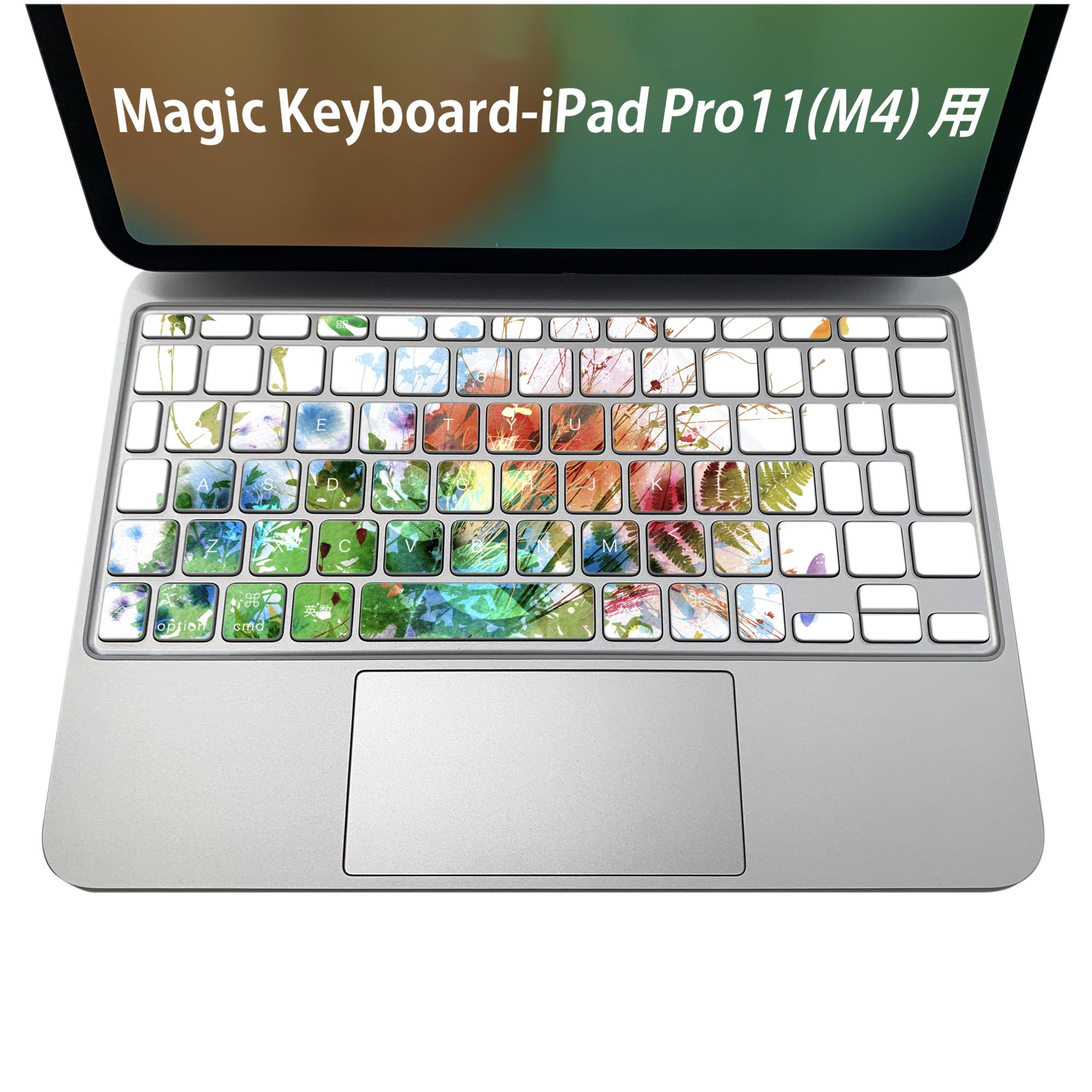 Magic Keyboard 専用 iPadPro11inch 13inch(M4) 2024 第5世代 対応 キーボード用スキンシール キートップ ステッカー アイパッド ノートパソコン アクセサリー 保護 020806 マスクデザイン 宇宙 惑星 植物 蝶 カラフル 006256