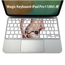 Magic Keyboard 専用 iPadPro11inch 13inch(M4) 2024 第5世代 対応 キーボード用スキンシール キートップ ステッカー アイパッド ノートパソコン アクセサリー 保護 020806 マスクデザイン 宇宙 惑星 写真 人物 006584(2)