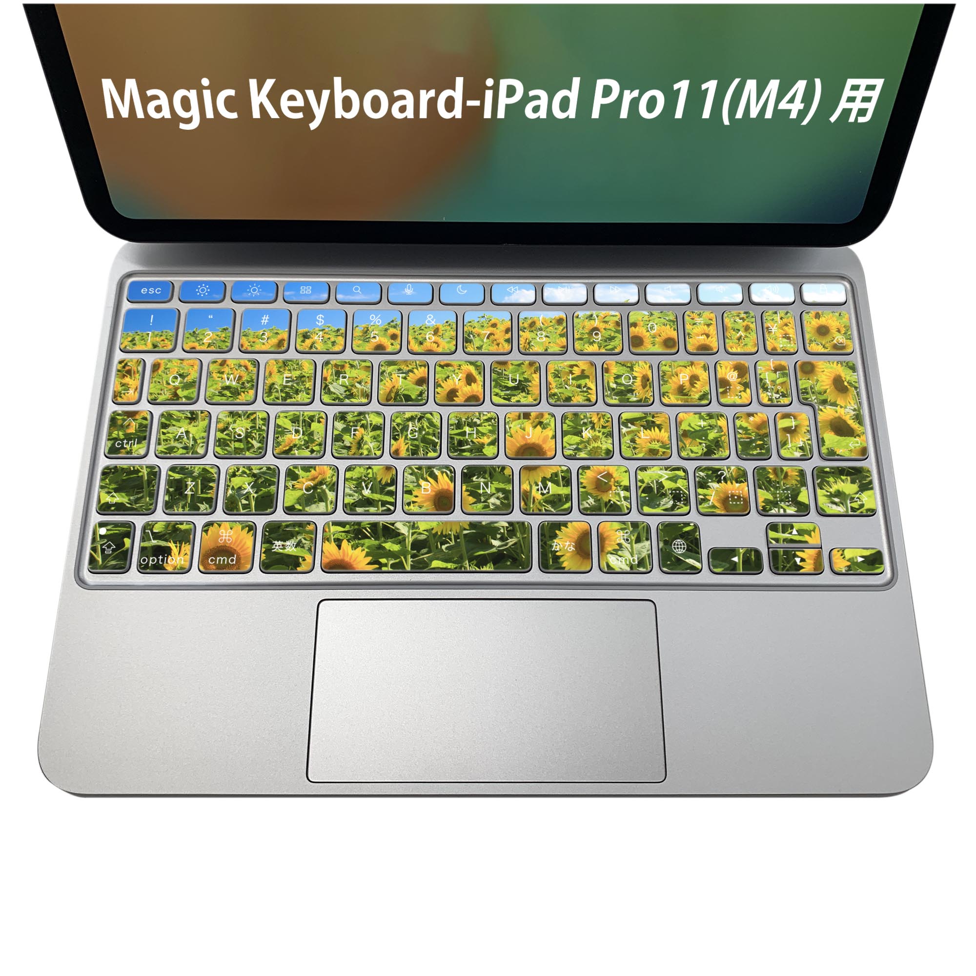 Magic Keyboard 専用 iPadPro11inch 13inch(M4) 2024 第5世代 対応 キーボード用スキンシール キートップ ステッカー アイパッド ノートパソコン アクセサリー 保護 020806 マスクデザイン 宇宙 惑星 写真 花 向日葵 ひまわり 007936