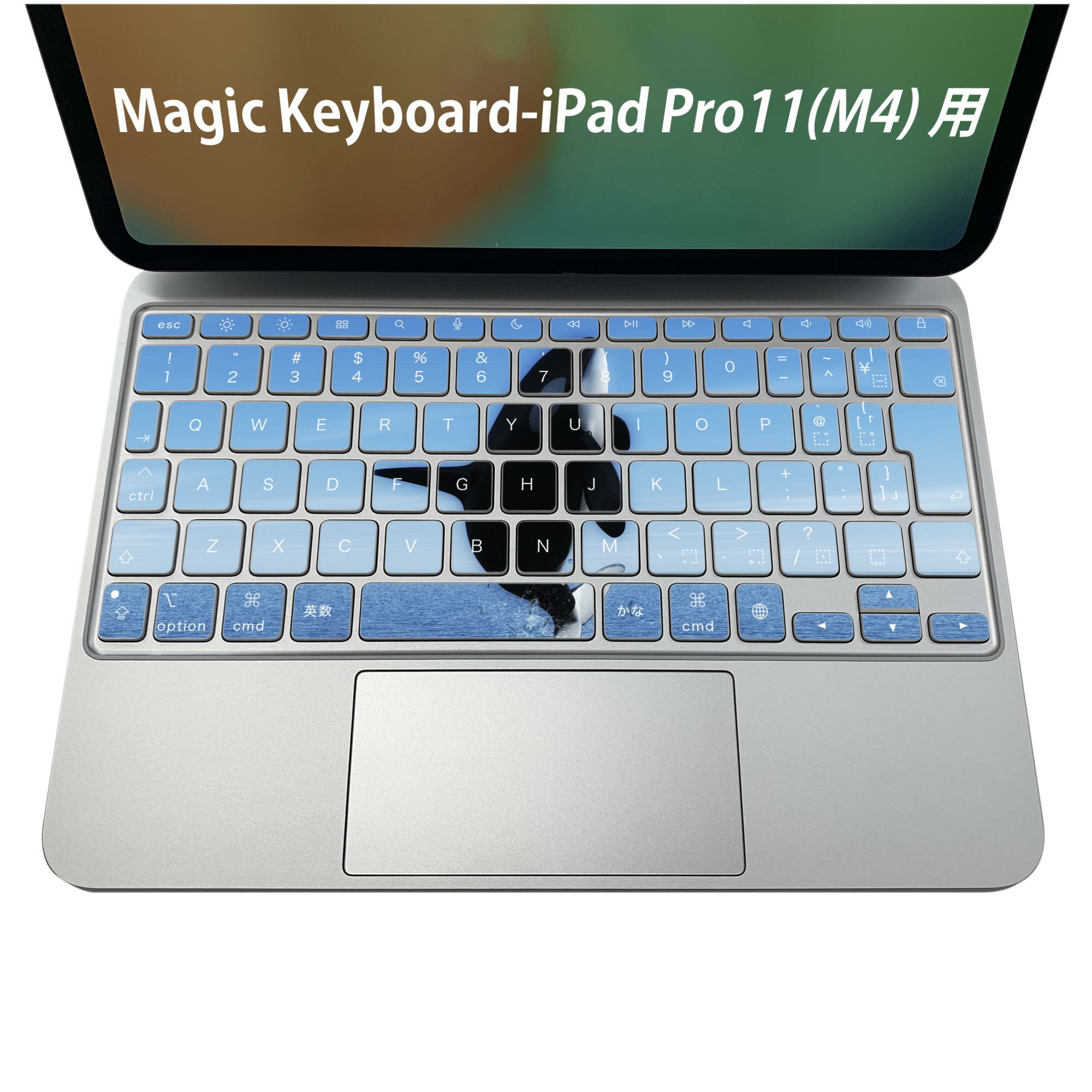 Magic Keyboard 専用 iPadPro11inch 13inch(M4) 2024 第5世代 対応 キーボード用スキンシール キートップ ステッカー アイパッド ノートパソコン アクセサリー 保護 020806 マスクデザイン 宇宙 惑星 シャチ 生き物 海 010806