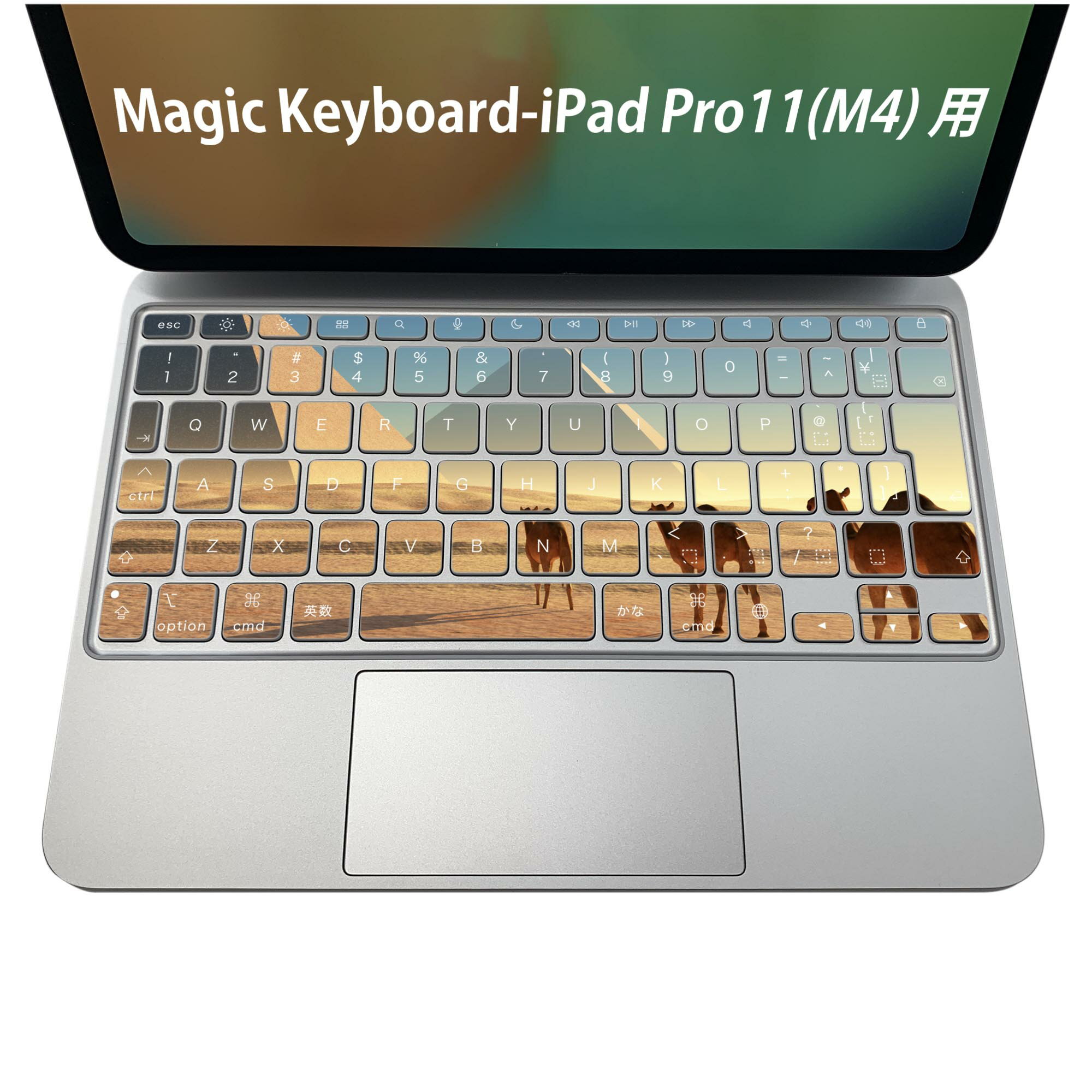 Magic Keyboard 専用 iPadPro11inch 13inch(M4) 2024 第5世代 対応 キーボード用スキンシール キートップ ステッカー アイパッド ノートパソコン アクセサリー 保護 020806 マスクデザイン 宇宙 惑星 らくだ　砂漠　ピラミッド　010934