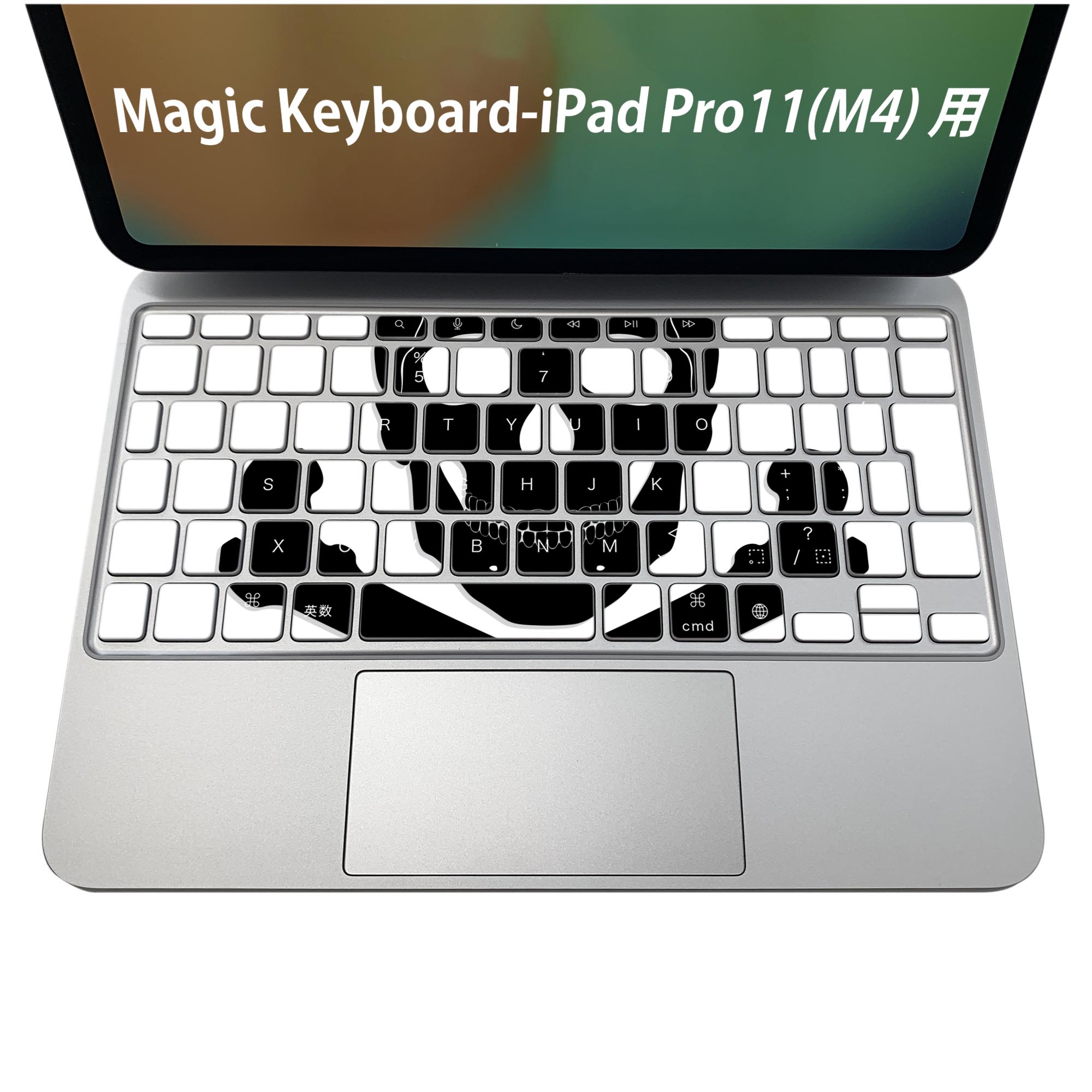 Magic Keyboard 専用 iPadPro11inch 13inch(M4) 2024 第5世代 対応 キーボード用スキンシール キートップ ステッカー アイパッド ノートパソコン アクセサリー 保護 020806 マスクデザイン 宇宙 惑星 ドクロ 骸骨 黒 011632