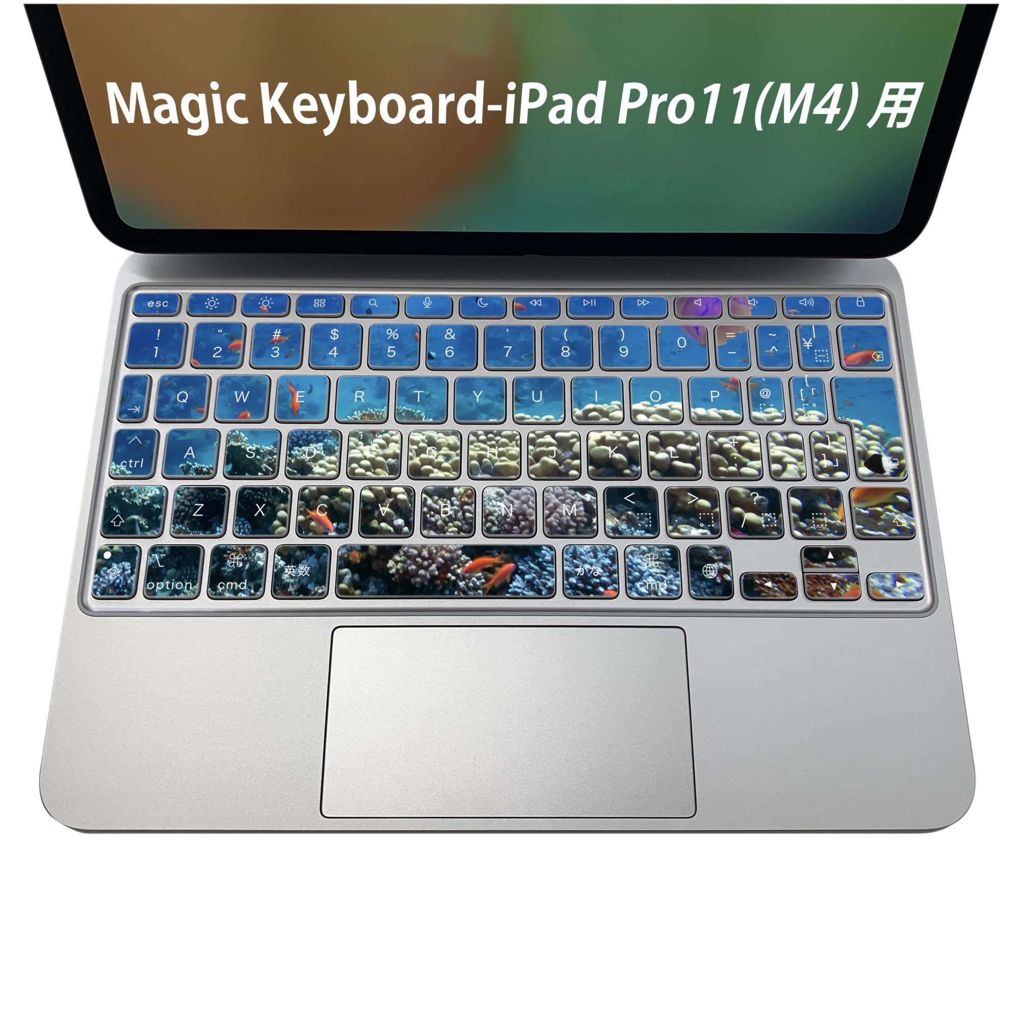 Magic Keyboard 専用 iPadPro11inch 13inch(M4) 2024 第5世代 対応 キーボード用スキンシール キートップ ステッカー アイパッド ノートパソコン アクセサリー 保護 020806 マスクデザイン 宇宙 惑星 海　珊瑚　写真　011697