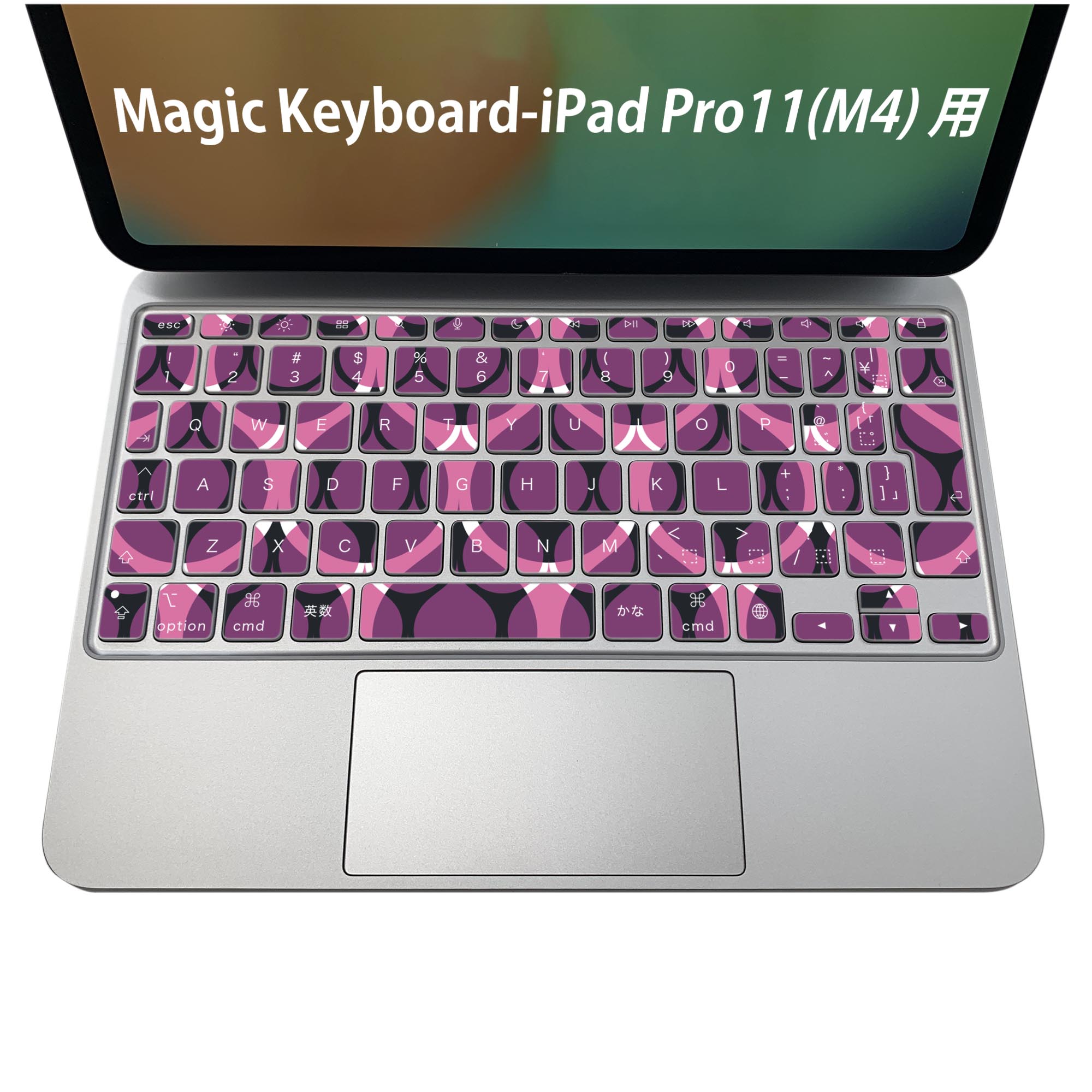 Magic Keyboard 専用 iPadPro11inch 13inch(M4) 2024 第5世代 対応 キーボード用スキンシール キートップ ステッカー アイパッド ノー..