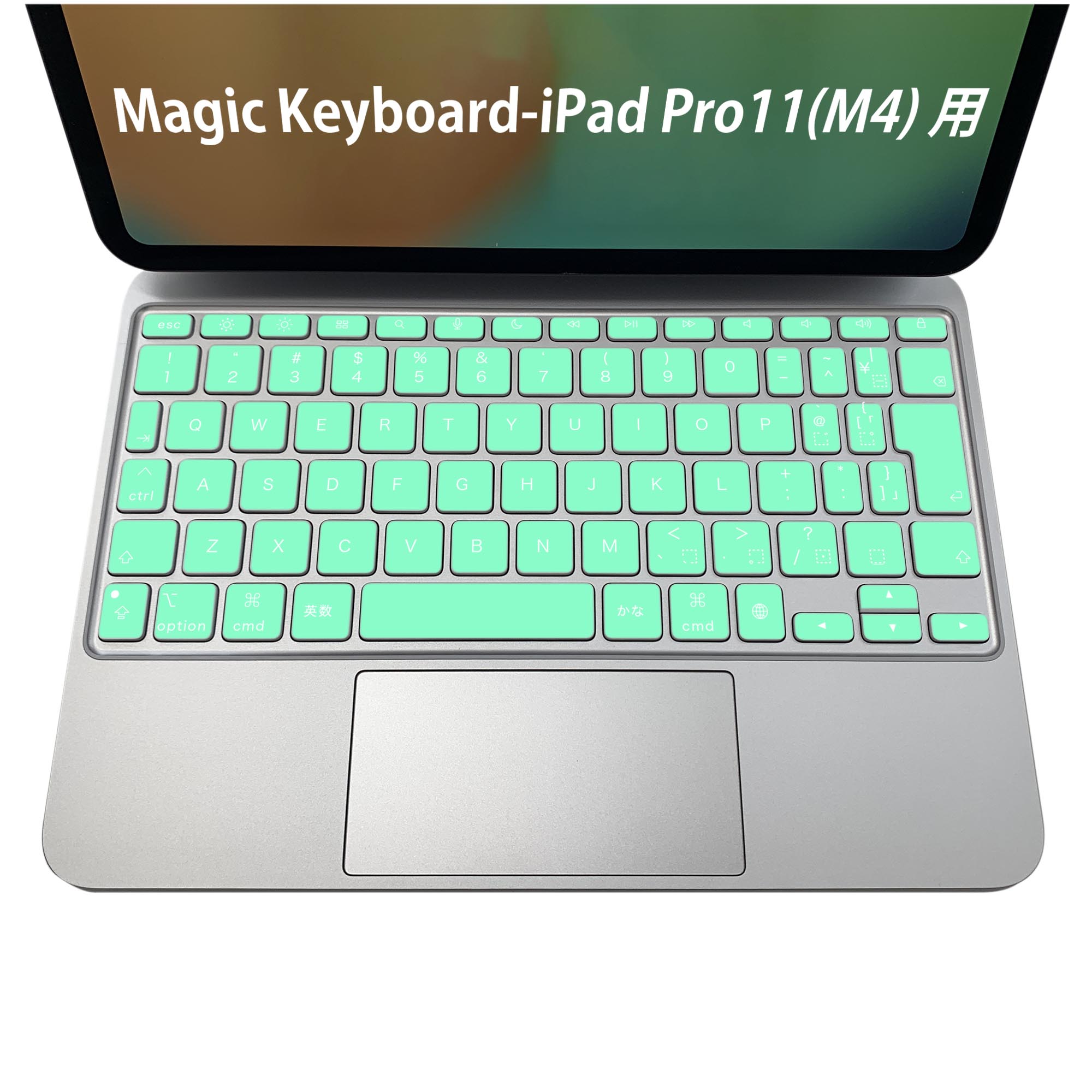 Magic Keyboard 専用 iPadPro11inch 13inch(M4) 2024 第5世代 対応 キーボード用スキンシール キートップ ステッカー アイパッド ノートパソコン アクセサリー 保護 020806 マスクデザイン 宇宙 惑星 緑　単色　シンプル　012243