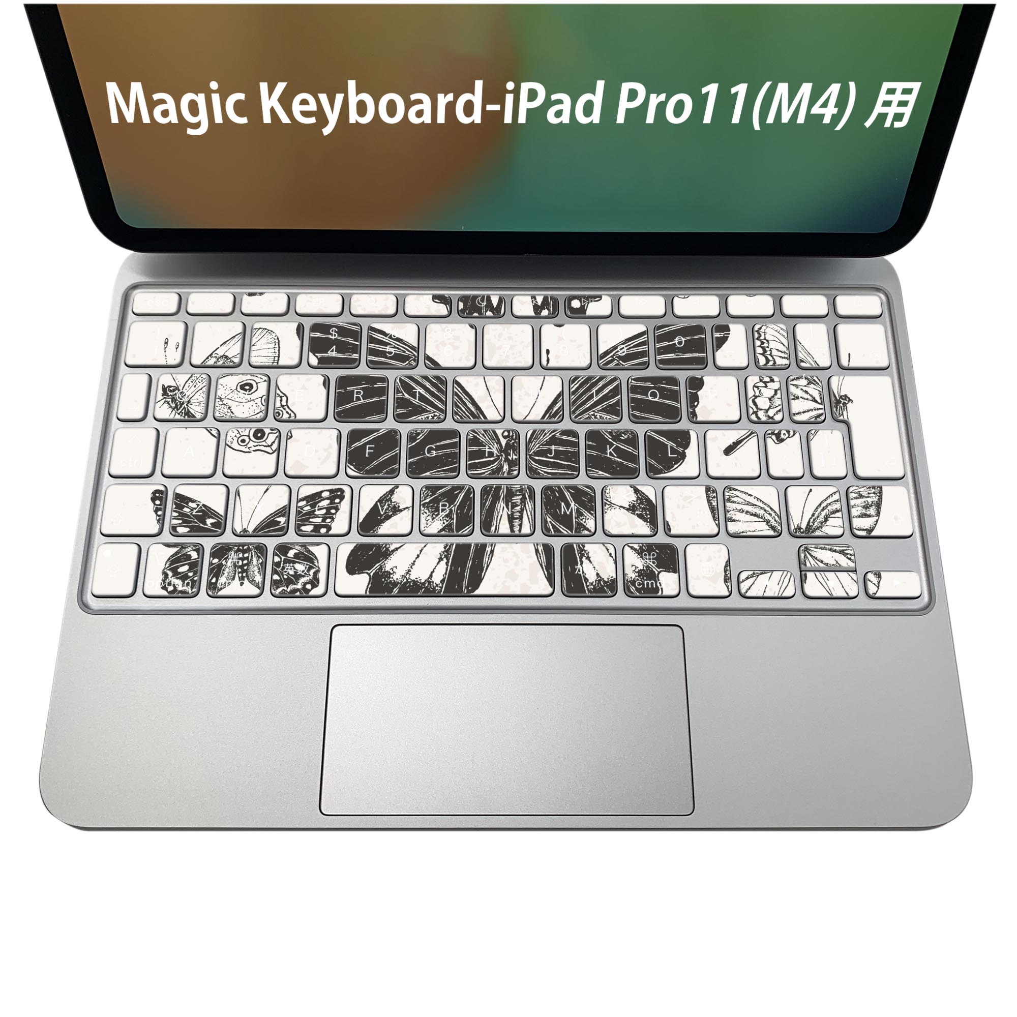 Magic Keyboard 専用 iPadPro11inch 13inch(M4) 2024 第5世代 対応 キーボード用スキンシール キートップ ステッカー アイパッド ノートパソコン アクセサリー 保護 020806 マスクデザイン 宇宙 惑星 蝶　セピア　英字　012500