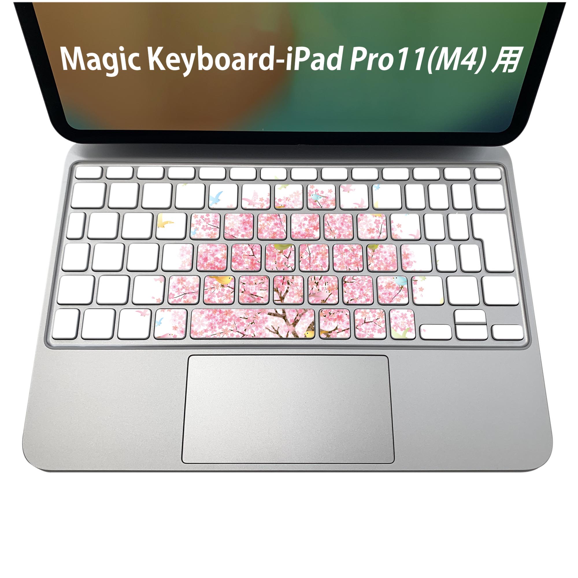 Magic Keyboard 専用 iPadPro11inch 13inch(M4) 2024 第5世代 対応 キーボード用スキンシール キートップ ステッカー アイパッド ノー..