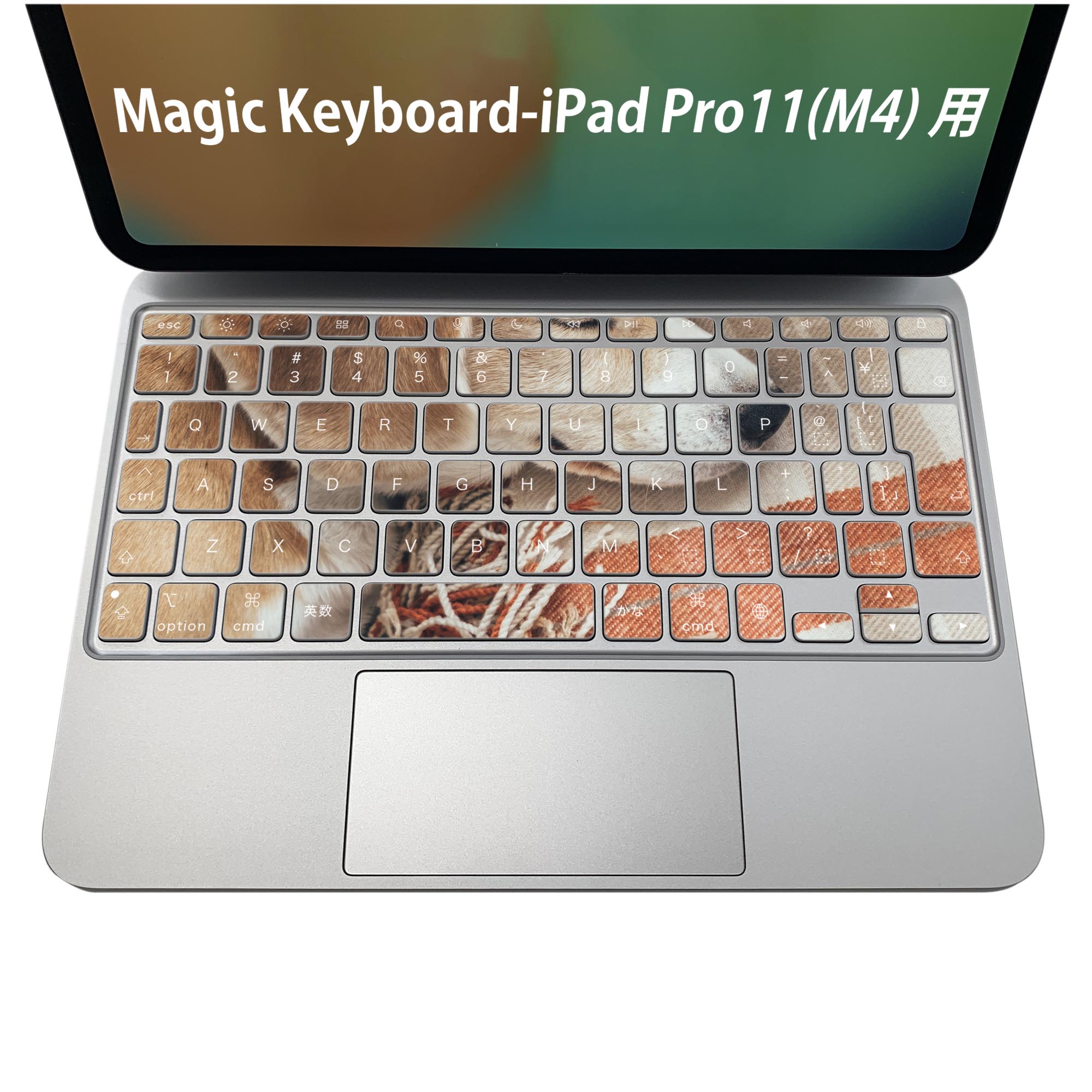 商品特徴・貼るだけでおしゃれに簡単着せ替え、iPadPro11・13（M4）Magic Keyboard KeyTop &nbsp; 全面デザインスキンシール！組み合わせ自由に選べるセット売り！・高精細プリントで写真と遜色がない仕上がり！ ・ちょっとしたすり傷から端末を保護！・エアフリー素材で気泡の心配も軽減！・貼り直しOK！位置調整も安心！注意事項画像はサンプルです。ご覧の環境によっては多少色味に違いを感じる場合がございます。 イメージと違った、モニターと色味が異なるという理由での交換や返金はご対応出来かねます。端末本体やクリアケースは付属しません。貼付時のずれやカメラ周りの凹凸を考慮してカメラ穴等は少し大きめにカットしています。貼付の際はカメラ穴を基準に位置を合わせてください。カメラ付近の何もないように見える場所に穴が開いていますが、こちらは近接・明るさ感知センサー用の穴です。端末本体に直接貼ることを想定しています。保護フィルムなどの上から貼ると上手く貼れない可能性があります初回貼付時の位置調整や貼り直しは可能ですが、しっかり接着させた後の貼り直しは保証しておりません。こちらは無地のシートにプリントした商品で、デコなどの加工はございません。 凹凸や光沢があるように見えたり布地や金属を素材にしたように見える商品もありますが、図版によるものです。印刷カメラ穴の位置にわずかなズレが生じる場合がございます。ご注文後に1点1点制作する受注生産品のため、不良品以外のご返品や交換は固くお断り致します。 機種間違いも保証対象外となりますため、ご注文の際は必ず機種をご確認下さい。発送について完全受注生産のハンドメイド商品となりますので、既製品と比べて発送までお時間を頂いています。 基本的に決済確認後、2〜3営業日、最大で5営業日での発送となります。繁忙期や休業日明けの場合はさらに時間がかかる場合があります。 その際には別途メールにてご連絡致します。メール便の場合、発送日から到着までに2〜4日ほどかかる場合が多く、紛失などの保障もご対応できかねます。あらかじめご了承下さい。