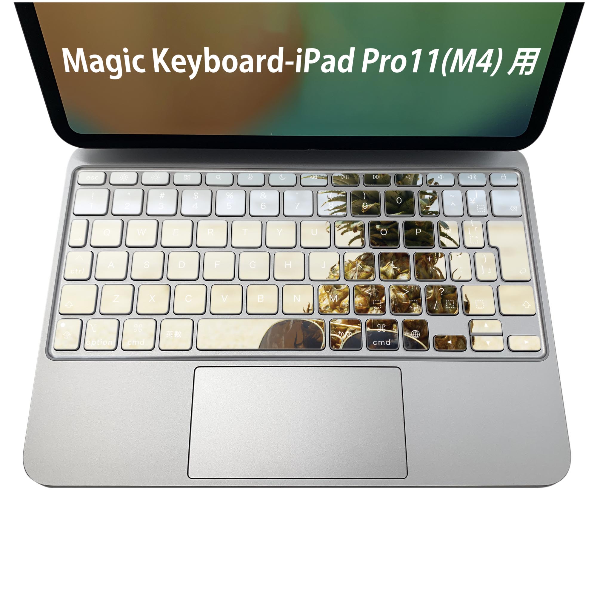 商品特徴・貼るだけでおしゃれに簡単着せ替え、iPadPro11・13（M4）Magic Keyboard KeyTop &nbsp; 全面デザインスキンシール！組み合わせ自由に選べるセット売り！・高精細プリントで写真と遜色がない仕上がり！ ・ちょっとしたすり傷から端末を保護！・エアフリー素材で気泡の心配も軽減！・貼り直しOK！位置調整も安心！注意事項画像はサンプルです。ご覧の環境によっては多少色味に違いを感じる場合がございます。 イメージと違った、モニターと色味が異なるという理由での交換や返金はご対応出来かねます。端末本体やクリアケースは付属しません。貼付時のずれやカメラ周りの凹凸を考慮してカメラ穴等は少し大きめにカットしています。貼付の際はカメラ穴を基準に位置を合わせてください。カメラ付近の何もないように見える場所に穴が開いていますが、こちらは近接・明るさ感知センサー用の穴です。端末本体に直接貼ることを想定しています。保護フィルムなどの上から貼ると上手く貼れない可能性があります初回貼付時の位置調整や貼り直しは可能ですが、しっかり接着させた後の貼り直しは保証しておりません。こちらは無地のシートにプリントした商品で、デコなどの加工はございません。 凹凸や光沢があるように見えたり布地や金属を素材にしたように見える商品もありますが、図版によるものです。印刷カメラ穴の位置にわずかなズレが生じる場合がございます。ご注文後に1点1点制作する受注生産品のため、不良品以外のご返品や交換は固くお断り致します。 機種間違いも保証対象外となりますため、ご注文の際は必ず機種をご確認下さい。発送について完全受注生産のハンドメイド商品となりますので、既製品と比べて発送までお時間を頂いています。 基本的に決済確認後、2〜3営業日、最大で5営業日での発送となります。繁忙期や休業日明けの場合はさらに時間がかかる場合があります。 その際には別途メールにてご連絡致します。メール便の場合、発送日から到着までに2〜4日ほどかかる場合が多く、紛失などの保障もご対応できかねます。あらかじめご了承下さい。