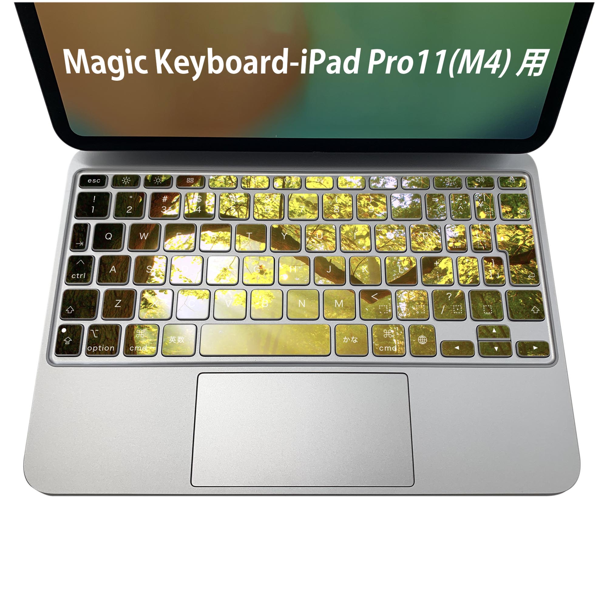 Magic Keyboard 専用 iPadPro11inch 13inch(M4) 2024 第5世代 対応 キーボード用スキンシール キートップ ステッカー アイパッド ノートパソコン アクセサリー 保護 020806 マスクデザイン 宇宙 惑星 景色　自然　風景　写真　木　樹木　014991