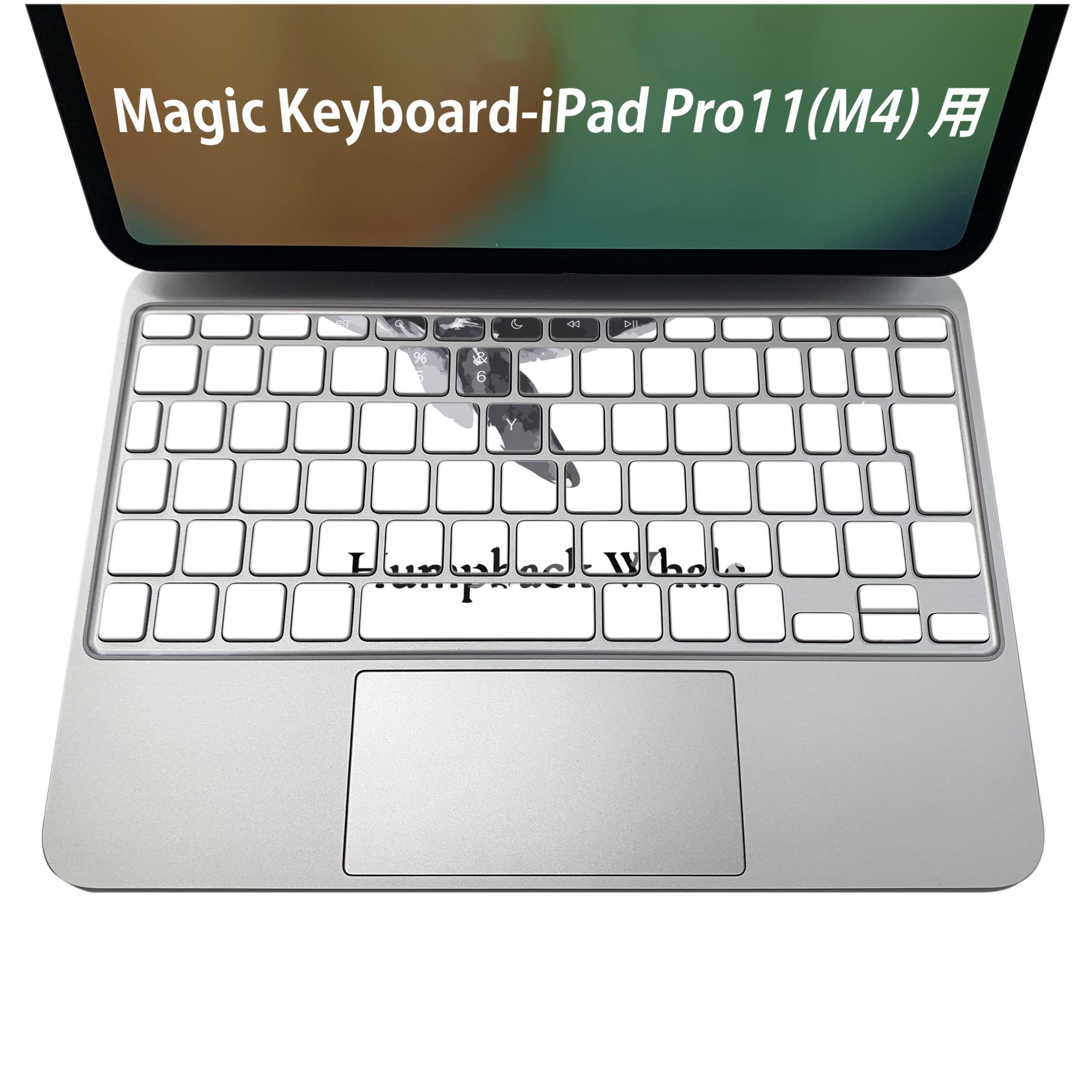 Magic Keyboard 専用 iPadPro11inch 13inch(M4) 2024 第5世代 対応 キーボード用スキンシール キートップ ステッカー アイパッド ノートパソコン アクセサリー 保護 020806 マスクデザイン 宇宙 惑星 海の生物 ザトウクジラ Humpback whale 019740