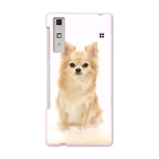 KYV37 Qua phone キュア フォン kyv37 au エーユー スマホ カバー スマホケース スマホカバー PC ハードケース 犬 動物 写真 アニマル 002914 KYV37 Qua phone キュア フォン kyv37 au エーユー スマホ カバー スマホケース スマホカバー PC ハードケース 犬 動物 写真 アニマル 002914
