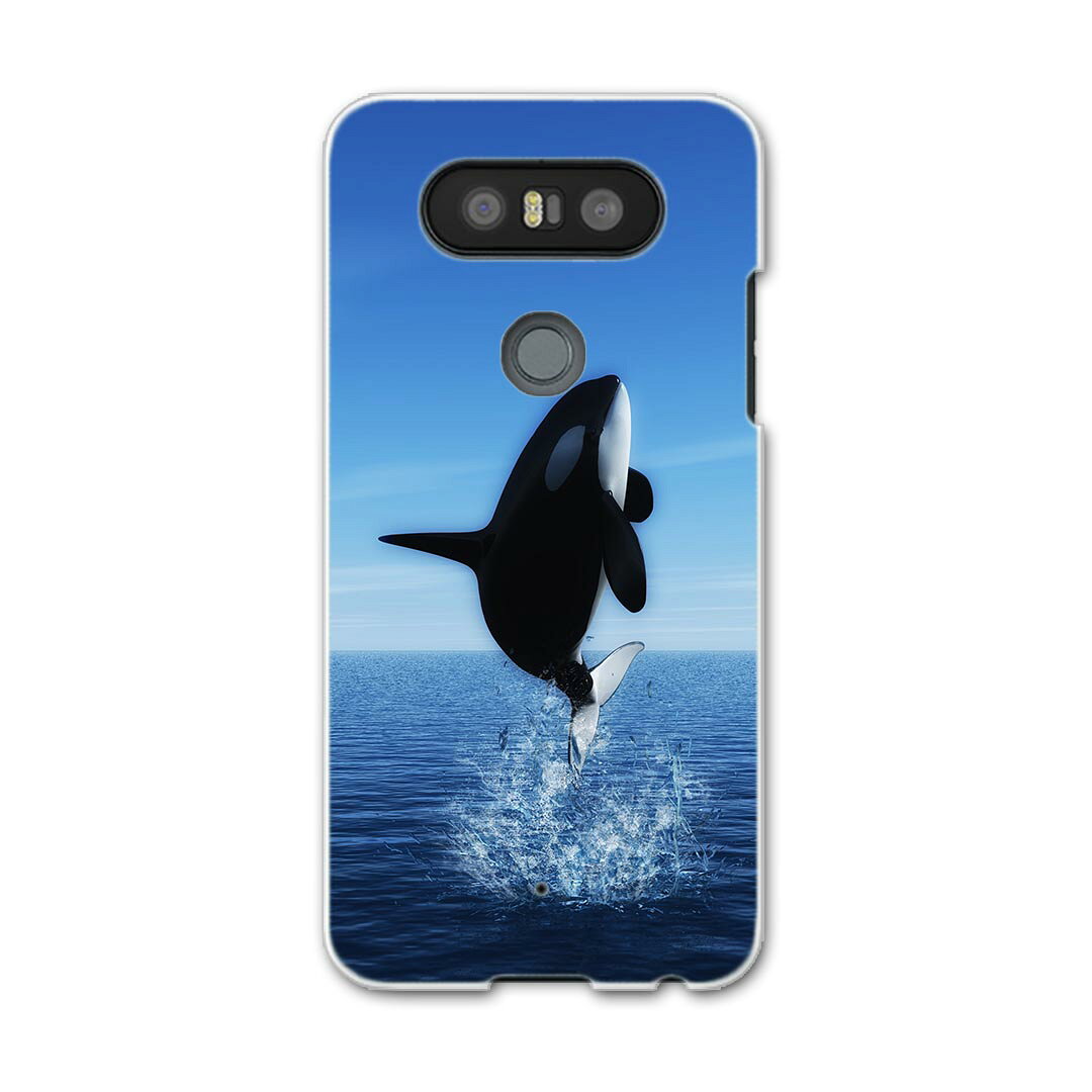 LGV34 isaiBeat イサイ ビート LG Electronics LGエレクトロニクス au エーユーlgv34 スマホ カバー ケース スマホケース スマホカバー PC ハードケース 010806 シャチ　生き物　海