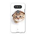 LGV34 isaiBeat イサイ ビート LG Electronics LGエレクトロニクス au エーユーlgv34 スマホ カバー ケース スマホケース スマホカバー PC ハードケース 013568 猫 写真 子猫(2)
