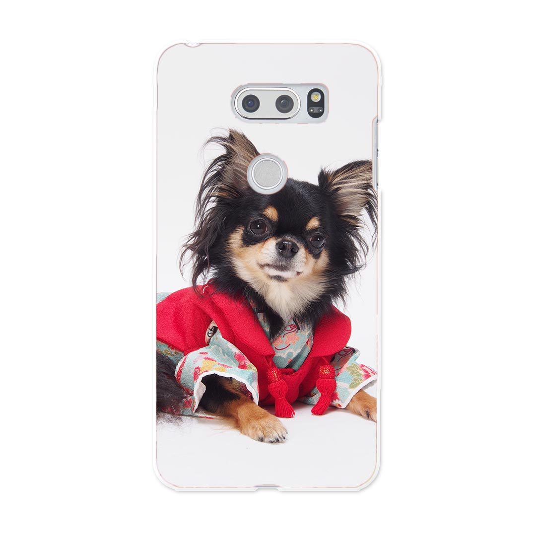 L-01K V30+ l01k docomo ドコモ スマホ カバー ケース スマホケース スマホカバー PC ハードケース 犬 チワワ 写真 アニマル 写真・風景 005221