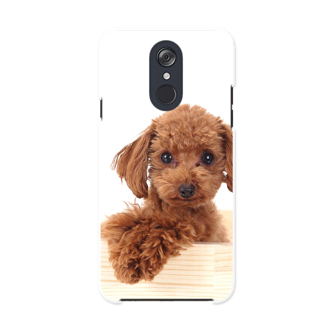 L-03K LG Electronics LG style エルジースタイル l03k docomo ドコモ スマホ カバー ケース スマホケース スマホカバー PC ハードケース 002769 犬　動物　写真
