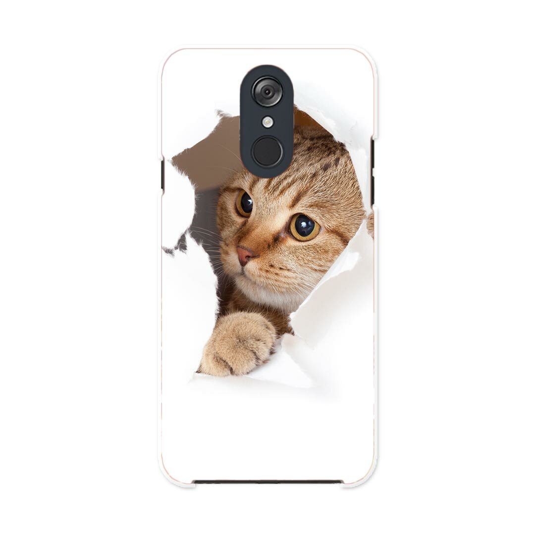 L-03K LG Electronics LG style エルジースタイル l03k docomo ドコモ スマホ カバー ケース スマホケース スマホカバー PC ハードケース 013566 猫　写真