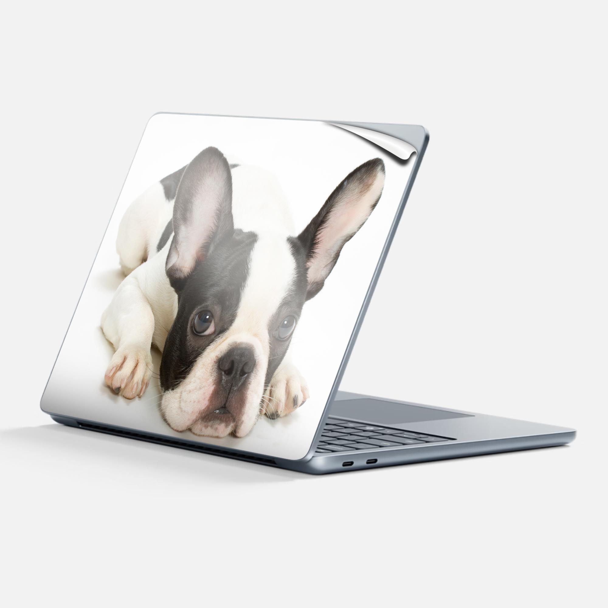 Surface Laptop 第7世代 13 インチ 用 スキンシール 全面スキンシール フル 背面 底 ステッカー 保護シール キャラクター かわいい 000889 犬 フレンチブルドック