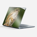 Surface Laptop 第7世代 13 インチ 用 スキンシール 全面スキンシール フル laptop7用 背面 底 ステッカー 保護シール キャラクター...