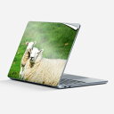 Surface Laptop 第7世代 13 インチ 用 スキンシール 全面スキンシール フル laptop7用 背面 底 ステッカー 保護シール キャラクター...