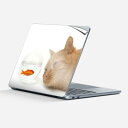 Surface Laptop 第7世代 13 インチ 用 スキンシール 全面スキンシール フル laptop7用 背面 底 ステッカー 保護シール キャラクター...