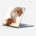 Surface Laptop 第7世代 13 インチ 用 スキンシール 全面スキンシール フル laptop7用 背面 底 ステッカー 保護シール キャラクター...