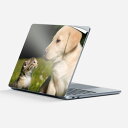 Surface Laptop 第7世代 13 インチ 用 スキンシール 全面スキンシール フル laptop7用 背面 底 ステッカー 保護シール キャラクター...