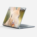 Surface Laptop 第7世代 13 インチ 用 スキンシール 全面スキンシール フル laptop7用 背面 底 ステッカー 保護シール キャラクター...