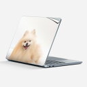Surface Laptop 第7世代 13 インチ 用 スキンシール 全面スキンシール フル laptop7用 背面 底 ステッカー 保護シール キャラクター...