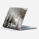 Surface Laptop 第7世代 13 インチ 用 スキンシール 全面スキンシール フル 背面 底 ステッカー 保護シール キャラクター かわいい 023560 ミーアキャット 動物 写真