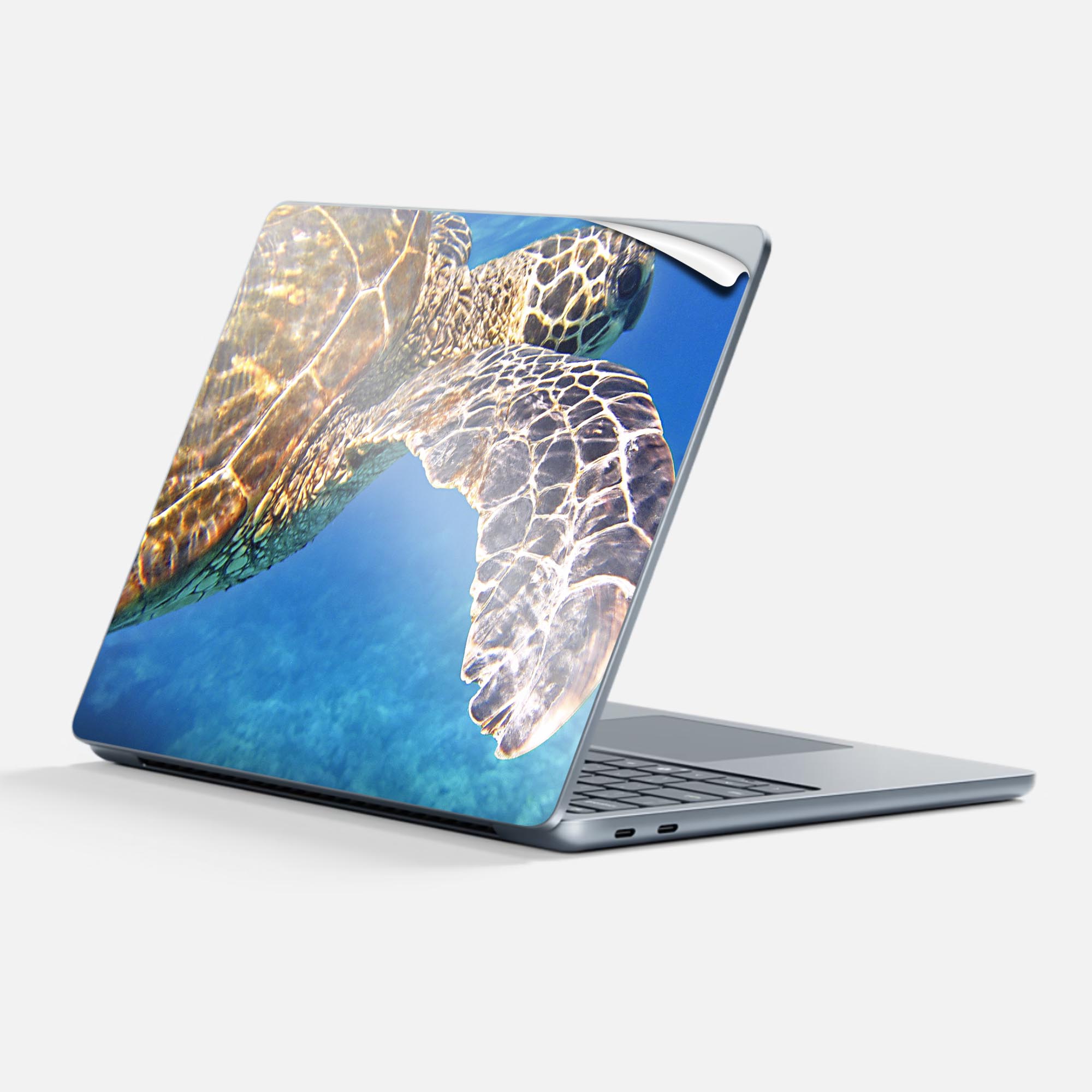 Surface Laptop 第7世代 13 インチ 用 スキンシール 全面スキンシール フル 背面 底 ステッカー 保護シール キャラクター かわいい 023782 カメ 海 写真