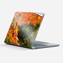 Surface Laptop 第7世代 13 インチ 用 スキンシール 全面スキンシール フル laptop7用 背面 底 ステッカー 保護シール キャラクター...