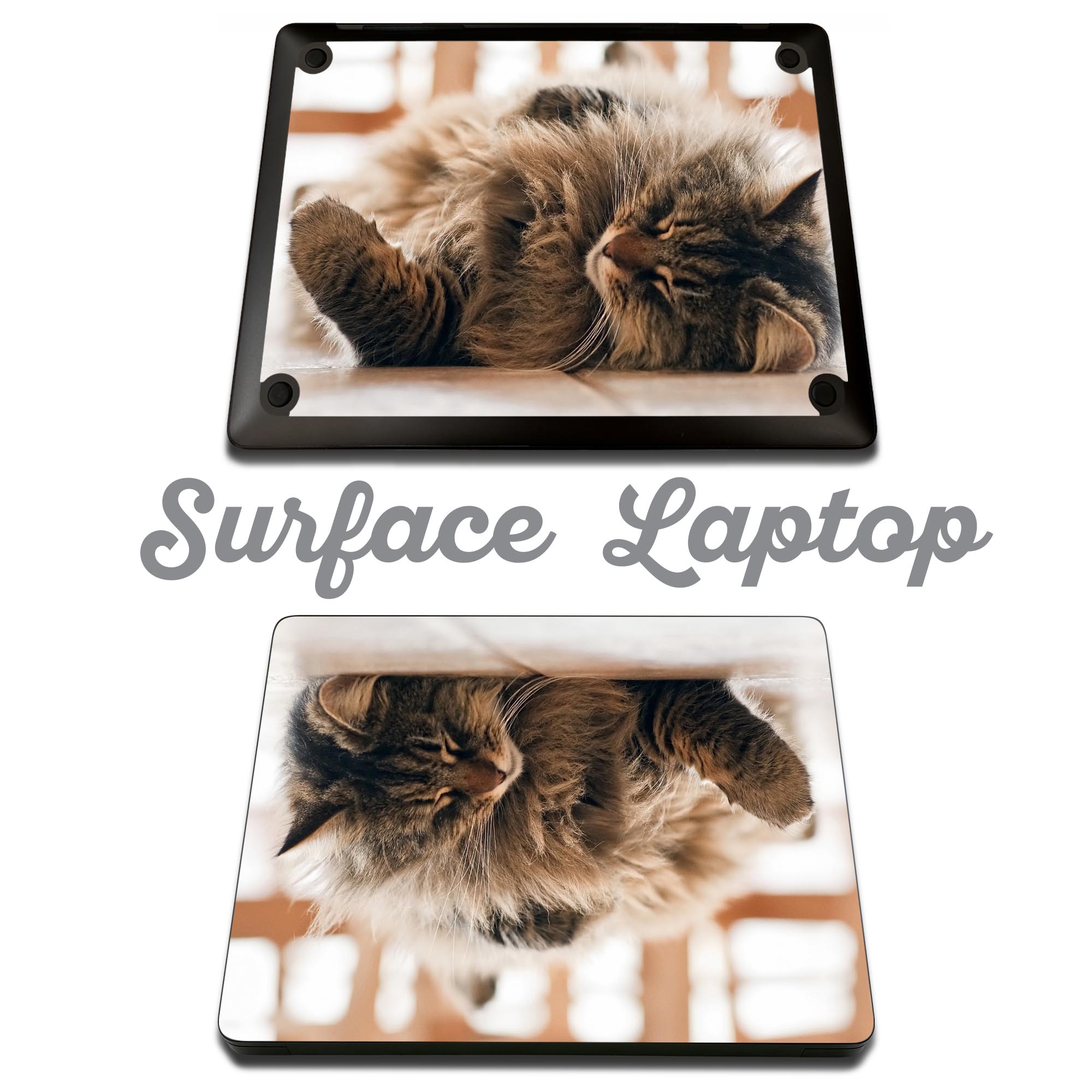 Surface Laptop 第7世代 13.8 / 15 インチ 用 スキンシール 全面スキンシール フル laptop7用 背面 底 ステッカー 保護シール キャラクター かわいい 002601 猫　動物　写真