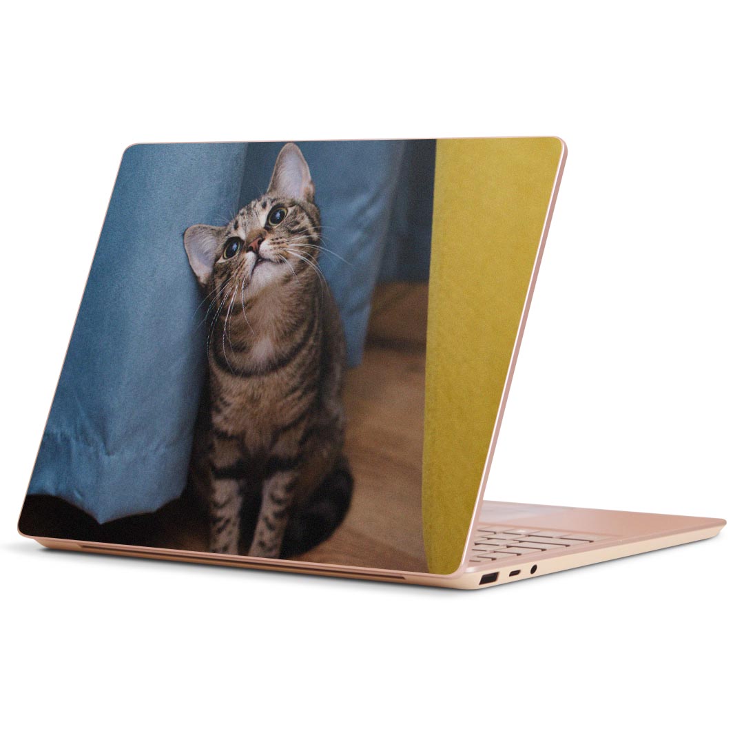 Surface Laptop Go (2020) 専用 スキンシール Microsoft サーフェス サーフィス ノートブック ノートパソコン カバー ケース フィルム ステッカー アクセサリー 保護 023082 猫　ねこ　動物　写真