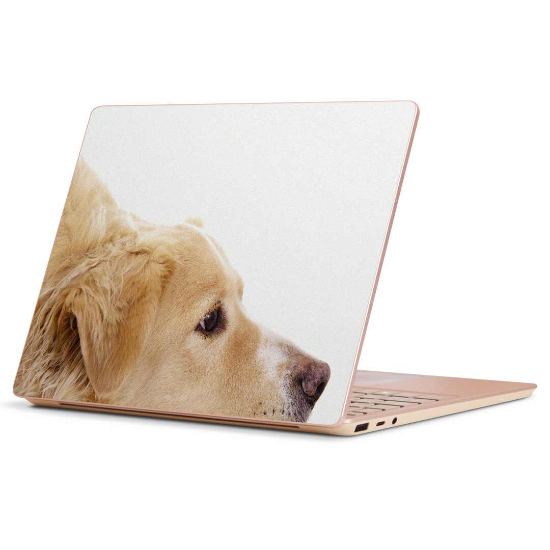 Surface Laptop Go (2020) 専用 スキンシール Microsoft サーフェス サーフィス ノートブック ノートパソコン カバー ケース フィルム ステッカー アクセサリー 保護 006630 写真　犬　動物