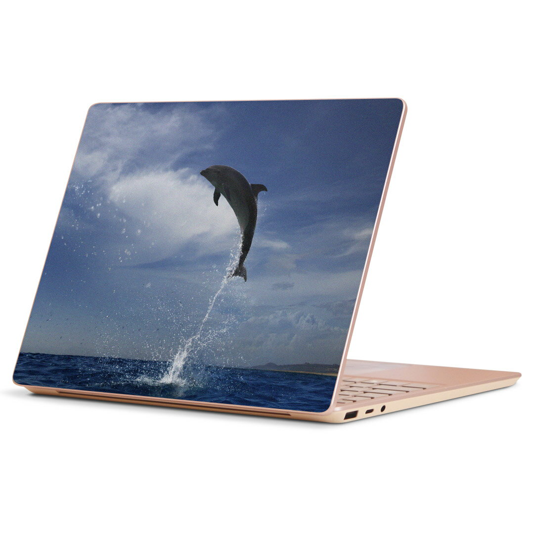 Surface Laptop Go (2020) 専用 スキンシール Microsoft サーフェス サーフィス ノートブック ノートパソコン カバー ケース フィルム ステッカー アクセサリー 保護 010965 海　イルカ　写真