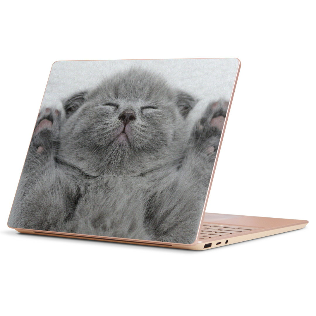 Surface Laptop Go (2020) 専用 スキンシール Microsoft サーフェス サーフィス ノートブック ノートパソコン カバー ケース フィルム ステッカー アクセサリー 保護 011682 猫　動物　写真