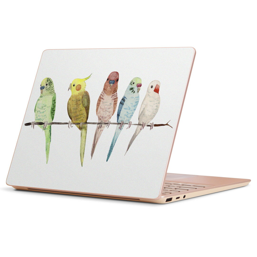 Surface Laptop Go (2020) 専用 スキンシール Microsoft サーフェス サーフィス ノートブック ノートパソコン カバー ケース フィルム ステッカー アクセサリー 保護 014042 鳥　インコ　アニマル