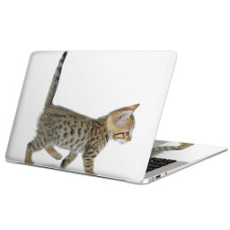 MacBook 用 スキンシール マックブック 13インチ 〜 16インチ MacBook Pro / MacBook Air 各種対応 ノートパソコン カバー ケース フィルム ステッカー アクセサリー 保護 000915 ネコ　子猫