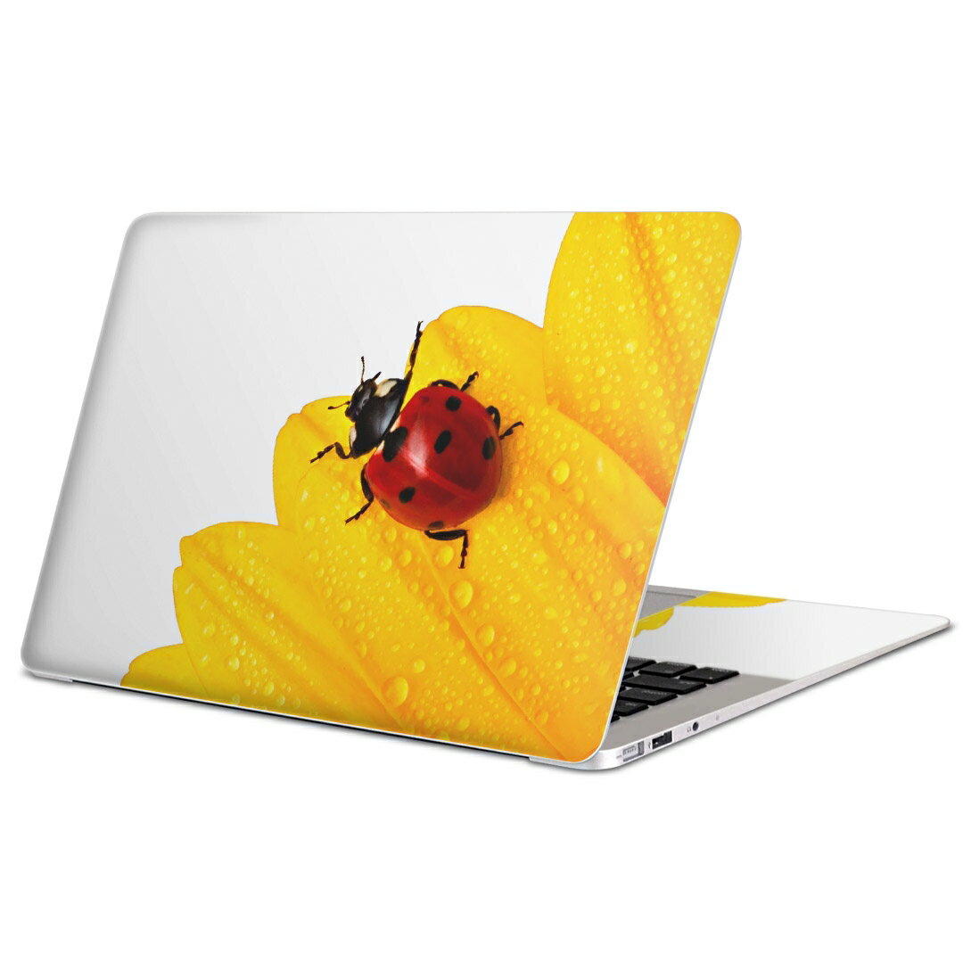 MacBook 用 スキンシール マックブック 13インチ 〜 16インチ MacBook Pro / MacBook Air 各種対応 ノ..