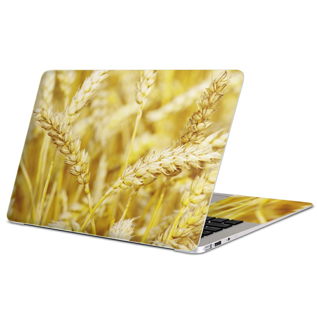 MacBook p XLV[ }bNubN 13C` ` 16C` MacBook Pro / MacBook Air eΉ m[gp\R Jo[ P[X tB XebJ[ ANZT[ ی 002621 ʐ^@H@iF