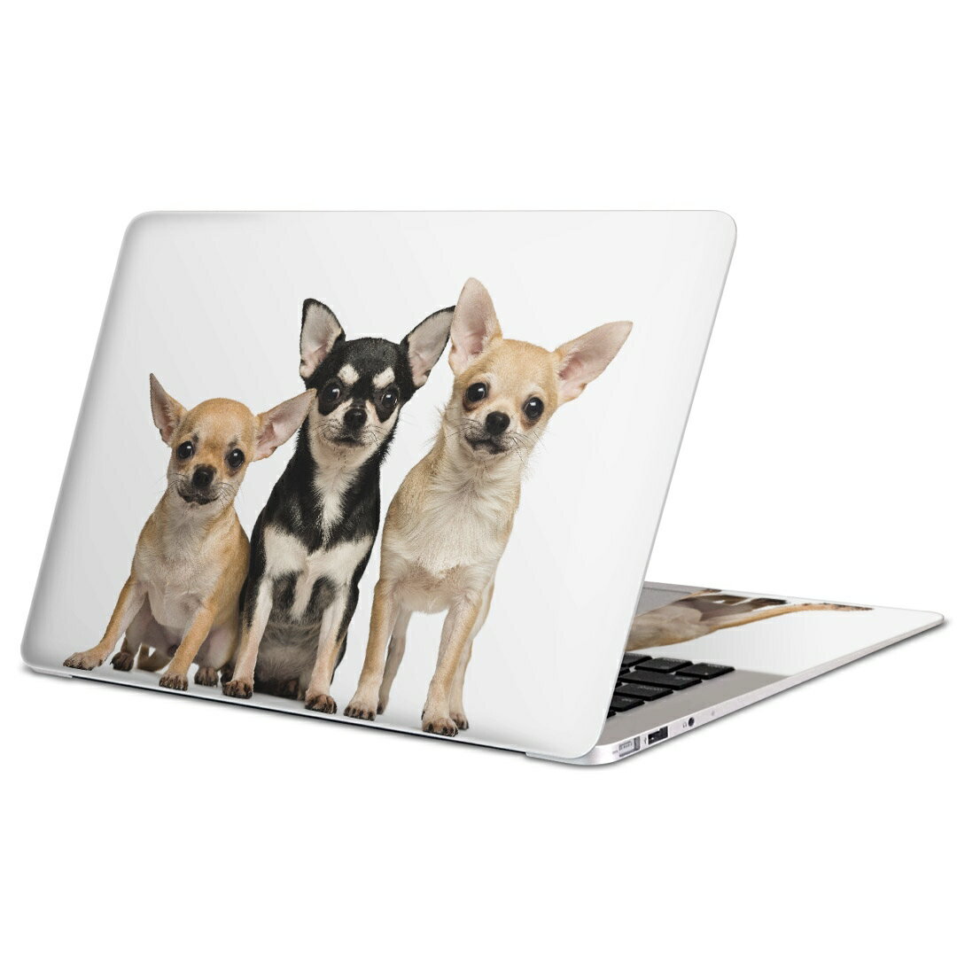 MacBook 用 スキンシール マックブック 13インチ 〜 16インチ MacBook Pro / MacBook Air 各種対応 ノートパソコン カバー ケース フィルム ステッカー アクセサリー 保護 002885 犬　動物　写真