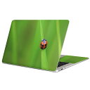 MacBook p XLV[ }bNubN 13C` ` 16C` MacBook Pro / MacBook Air eΉ m[gp\R Jo[ P[X tB XebJ[ ANZT[ ی 003604 ĂƂ@ʐ^