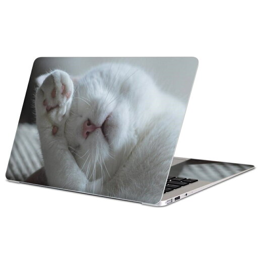 MacBook 用 スキンシール マックブック 13インチ 〜 16インチ MacBook Pro / MacBook Air 各種対応 ノートパソコン カバー ケース フィルム ステッカー アクセサリー 保護 022860 猫 ねこ 写真 MacBook 用 スキンシール マックブック 13インチ 〜 16インチ MacBook Pro / MacBook Air 各種対応 ノートパソコン カバー ケース フィルム ステッカー アクセサリー 保護 022860 猫 ねこ 写真