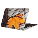 MacBook 用 スキンシール マックブック 13インチ ~ 16インチ MacBook Pro / MacBook Air 各種対応 ノートパソコン カバー ケース フィルム ステッカー アクセサリー 保護 022909 秋 葉っぱ 紅葉