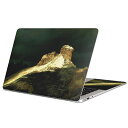 MacBook p XLV[ }bNubN 13C` ` 16C` MacBook Pro / MacBook Air eΉ m[gp\R Jo[ P[X tB XebJ[ ANZT[ ی 023227 iF@ʐ^